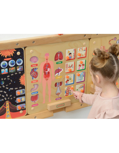 MASTERKIDZ Montessori Žmogaus kūno sandaros mokomoji lenta
