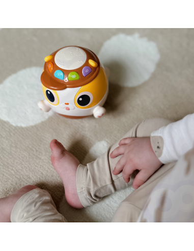 Интерактивная музыкальная развивающая игрушка-мячик для собак WOOPI BABY