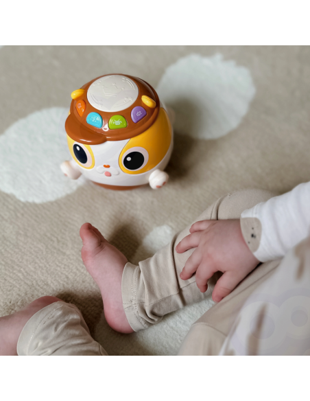 Интерактивная музыкальная развивающая игрушка-мячик для собак WOOPI BABY