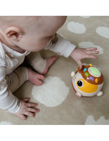Интерактивная музыкальная развивающая игрушка-мячик для собак WOOPI BABY