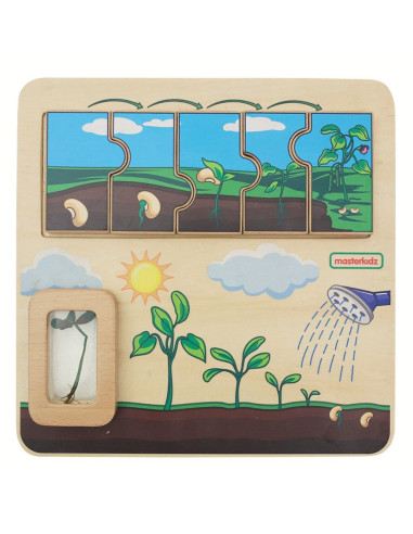 MASTERKIDZ Wooden Bean Life Cycle Board