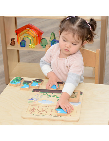 MASTERKIDZ medinė pupelės gyvavimo ciklo lenta