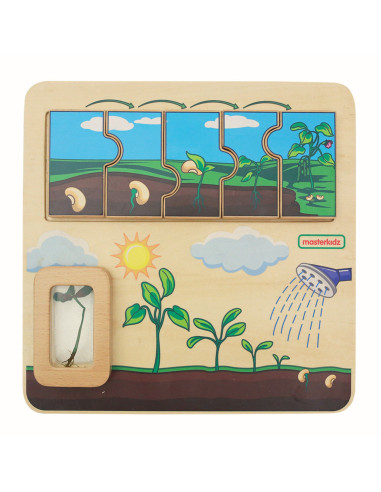 MASTERKIDZ Wooden Bean Life Cycle Board