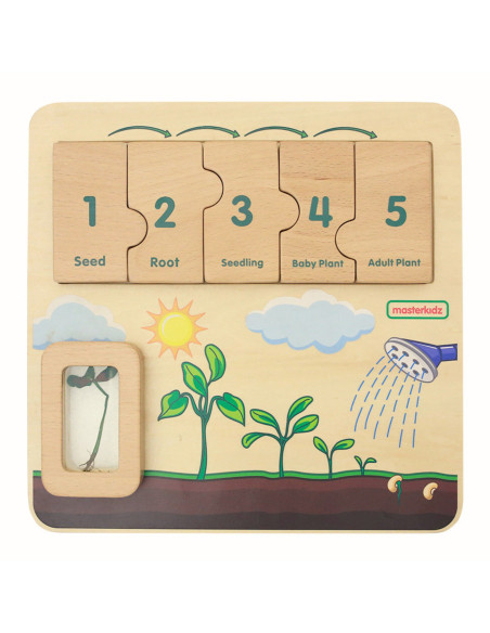 MASTERKIDZ Wooden Bean Life Cycle Board