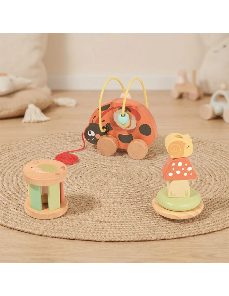 TOOKY TOY Ladybug 3-in-1 Developmental Play Set