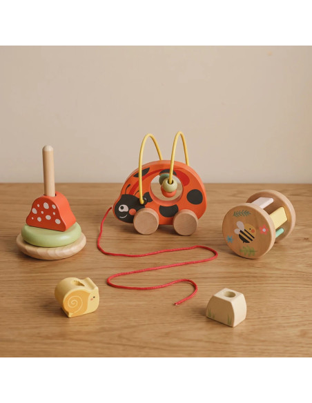 TOOKY TOY Ladybug 3-in-1 Developmental Play Set