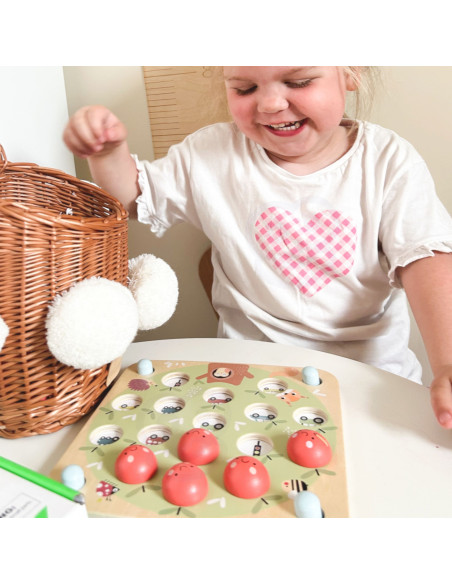 TOOKY TOY Memory Apple Memory Game